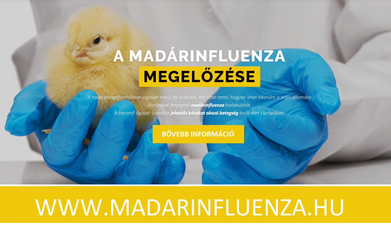 madatinfluenza Madárinfluenza tájékoztató